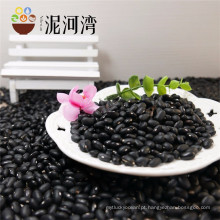 Pequeno feijão preto, origem chinesa, 211 tipo, cor colhida polido